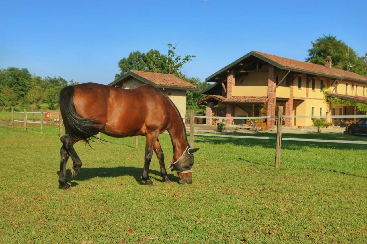 Agriturismo Helianthus Oleggio Exterior photo