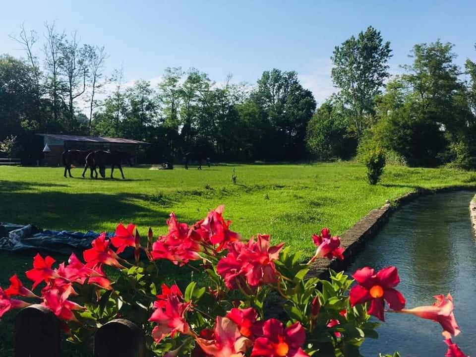Agriturismo Helianthus Oleggio Exterior photo